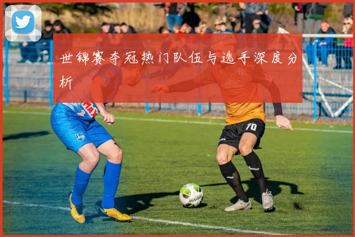 世锦赛夺冠热门队伍与选手深度分析