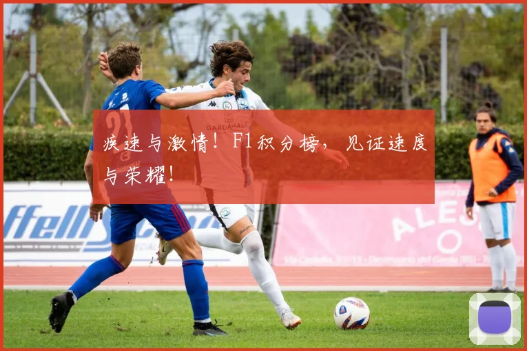 疾速与激情！F1积分榜，见证速度与荣耀！